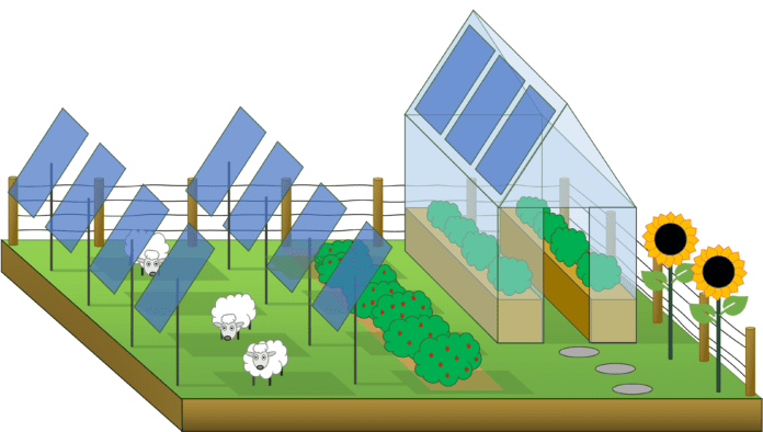 Examples of agrivoltaics
