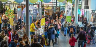 Big names headlines Swansea Science Festival 2024