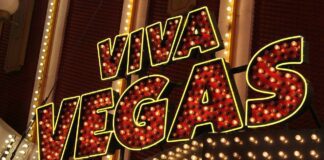 Online Roulette Basics: A Beginner’s Guide to Spinning the Virtual Wheel