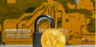Crypto, Gambling, and Cybersecurity: What Business Leaders Need to Know