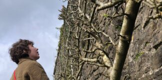 Aberglasney welcomes new batch of horticulture students to learn and work at the gardens