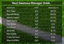 Rob Page Favourite For Swansea Job – Former Swans Bosses Martin & Cooper In Contention