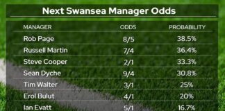 Rob Page Favourite For Swansea Job – Former Swans Bosses Martin & Cooper In Contention