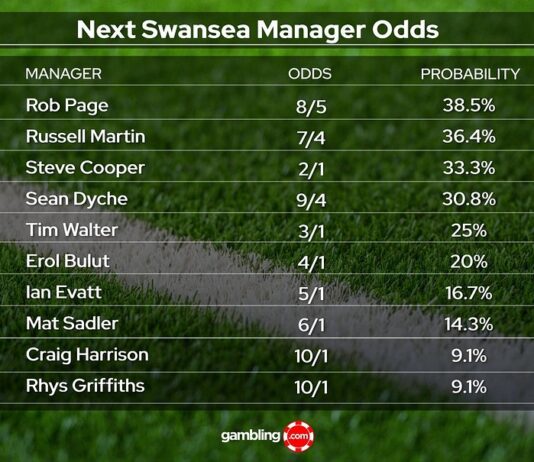 Rob Page Favourite For Swansea Job – Former Swans Bosses Martin & Cooper In Contention