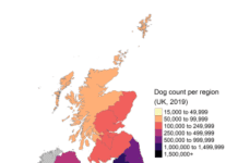 Llandrindod Wells and Swansea are two of the dog capitals of the UK, according to new Dogs Trust data