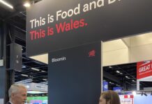 Y Dirprwy Brif Weinidog yn ymweld â’r Almaen i gefnogi bwyd a diod o Gymru
