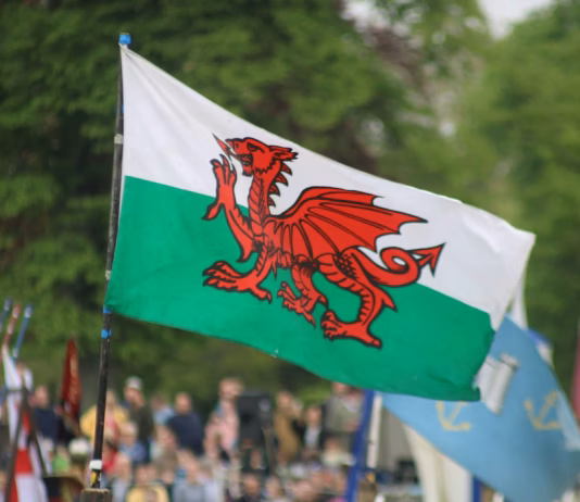Owain Glyndŵr: Rebel, Prince, Visionary