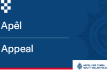 Penarth Road Fatal Road Traffic Collision: Appeal for Witnesses