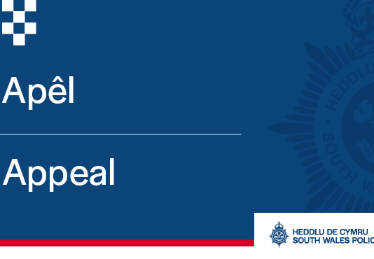 Penarth Road Fatal Road Traffic Collision: Appeal for Witnesses