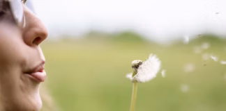 Is Your Garden Making Your Hay Fever Worse?