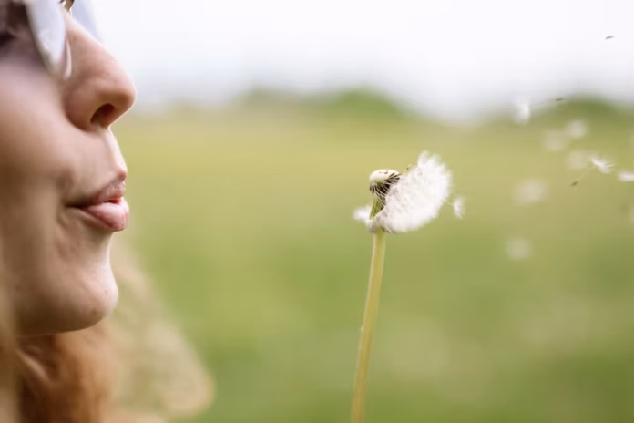 hay fever