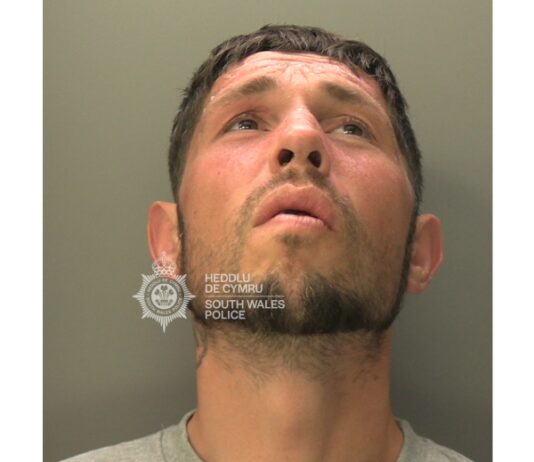 Merthyr man jailed for harassment