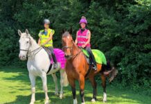 Drivers urged to pass horses safely as part of Operation Arabis