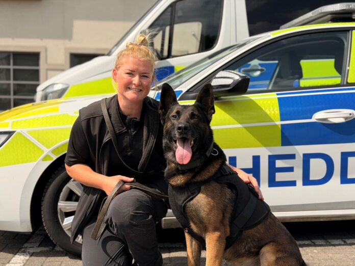 South Wales Police invests in enhanced body armour to protect police dogs